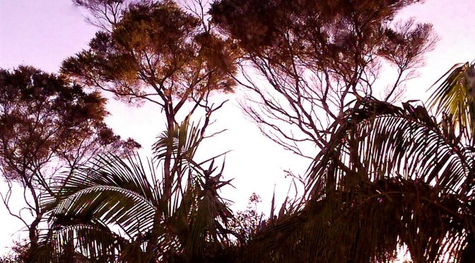 Swords, Science and Sweets